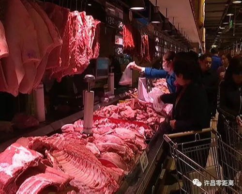 許昌市為禽畜產品配備“身份證”，開啟食用農產品追溯新時代