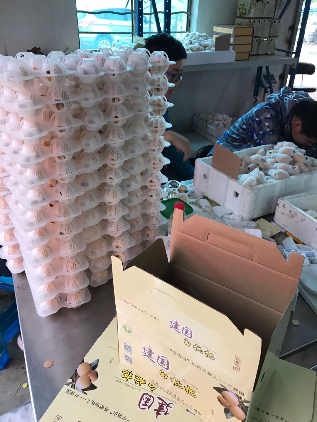 寧海白枇杷 一市建國的時(shí)令珍品，當(dāng)季新鮮直供